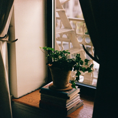 Zimmerpflanze, die auf mehreren Büchern steht, die auf einem Fensterbrett liegen.