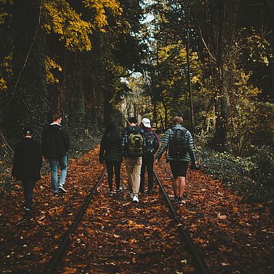 Sechs Jugendliche gehen im Wald spazieren